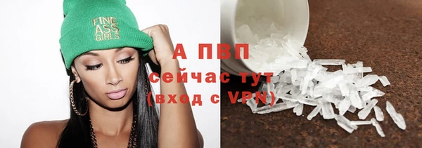гашик Абаза
