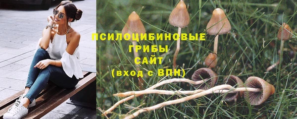 трава Абинск