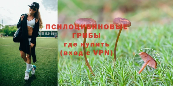 трава Абинск