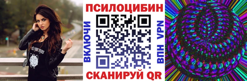 Псилоцибиновые грибы Psilocybe  Горбатов 