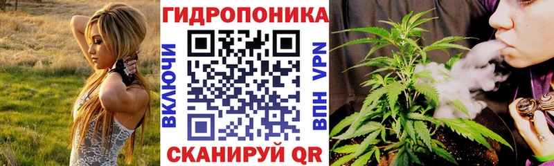 Марихуана сатива  Горбатов 